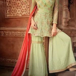 Net Pakistani suit in pastel green